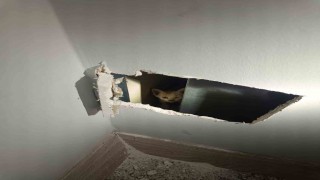 Mardinde havalandırma boşluğuna düşen yavru kediler kurtarıldı