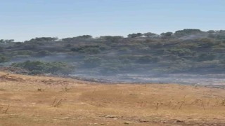 Mardinde örtü yangını kontrol altına alındı