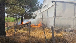 Mardinde otluk alanda çıkan yangın söndürüldü