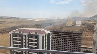 Mardinde otluk alanda çıkan yangın söndürüldü