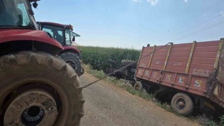 Mardinde traktör mısır tarlasına devrildi