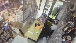 Markette kutuyu hareket ettiren kedi panik yaşattı: O anlar kamera yansıdı