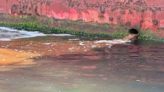 Marmarayı kirleten tersaneye 3.7 milyon lira ceza