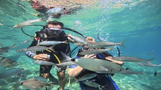 Marmariste dalış turizmine ilgi artıyor