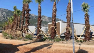 Menteşe Belediyesi Akbükte 11 Tiny Houseu mühürledi