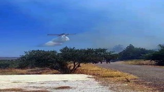 Menteşe Fadıl mahallesinde orman yangını