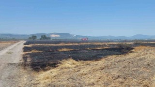 Merada çıkan yangında 200 dekar alan etkilendi