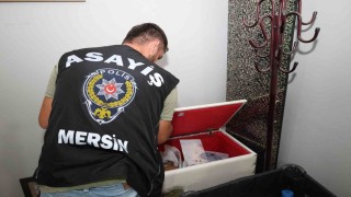 Mersinde aranan şahıslara yönelik operasyon: 81 kişi yakalandı