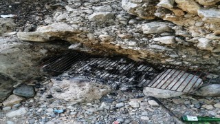 Mersinde ormanda piknik yapan 5 kişiye ceza