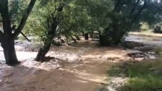 Mersinde sağanak yağış sele neden oldu