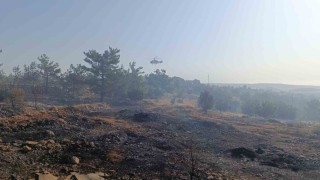 Mersindeki orman yangını: Havadan müdahale başladı