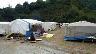 Mevsimlik tarım işçileri fındık hasadı için Orduda