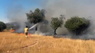 Milas Pınarcık yangını kontrol altına alındı