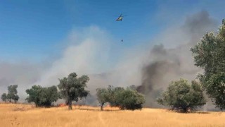 Milas Pınarcık yangınına 5 helikopter 4 uçak müdahale ediyor