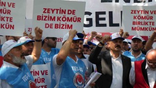 Milaslı muhtarlar ve TES-İŞten Maden Yasasına destek: Köylerimiz ve zeytinlerimiz yok olmayacak