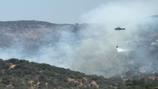 Milasta dumanlar yükseldi, müdahale sürüyor