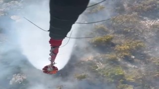 Milasta orman yangını