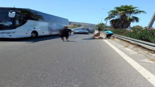 Milasta otobanda otobüsün çarptığı yaya hayatını kaybetti