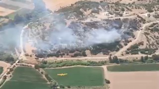 Milastaki yangın kontrol altına alındı