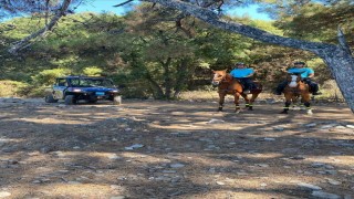 Milli Parkta yasak bölgeye giren 5 kişiye para cezası uygulandı