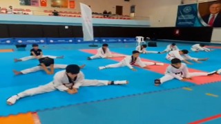 Minik Taekwondocular 15 Temmuz Anısına Adana’da Buluştu
