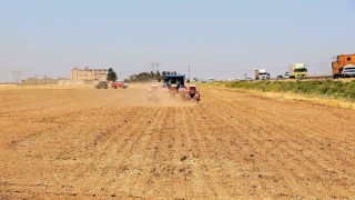 Mısır ekimi yasağına rağmen kaçak sulama, enerji altyapısını tehdit ediyor