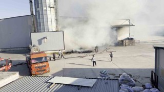 Mobilya üretim fabrikasında yangın: Ekipler, söndürmek için seferber oldu