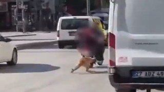 Motosikletin arkasına bağladıkları köpeği sürükleyerek götürdüler