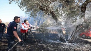 Muğla itfaiyesinden yangın uyarısı