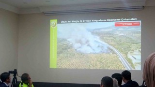 Muğla Orman Bölge Müdürü Ülküdür: Yangınların yüzde 88i insan kaynaklı