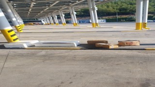 Muğla otobüs terminalinde sahipsiz midyelere el konuldu