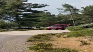 Muğlada kurumlar yaz aylarında doğayı korumak için teyakkuzda