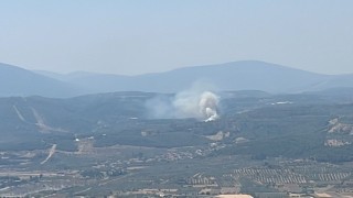 Muğlada orman yangını