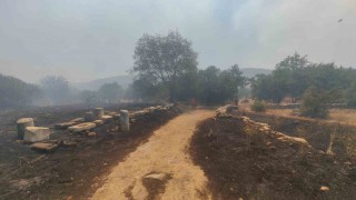 Muğladaki yangın Stratonikia Antik kentindeki zirai alanda etkili oluyor