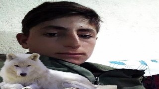 Muşta iş kazası: 20 yaşındaki genç hayatını kaybetti