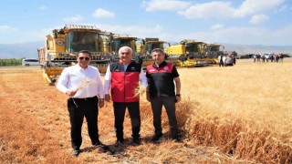 Muşta milyarlık hasat başladı