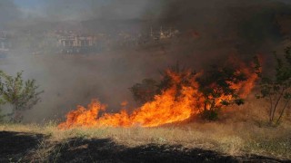 Muşta örtü yangını kontrol altına alındı