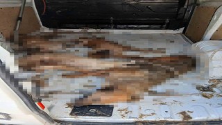 Nakil aracı değil, ölüm kafesi