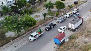 Nazilli Belediyesinden haşere ile etkin mücadele