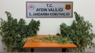 Nazillide uyuşturucu operasyonu