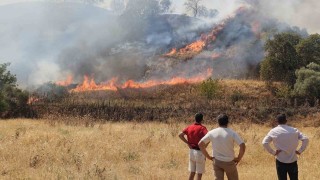 Nazillide zirai alanda çıkan yangın kontrol altına alındı