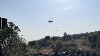 Nilüferdeki orman yangını kontrol altına alındı