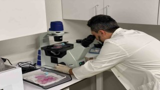 Nobel ödüllü Prof. Dr. Aziz Sancardan kanser araştırmasına tebrik