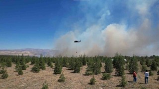 ODTÜ Ormanındaki yangının tahribatı havadan görüntülendi