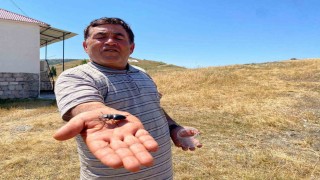 Öldürmenin cezası 557 bin TL, Sivasta görüldü