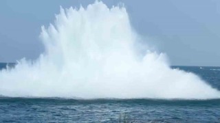 Orduda denizde bulunan mayın, SAS ekipleri tarafından imha edildi