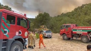 Orman Bölge Müdürü yangının ortasında kaldı