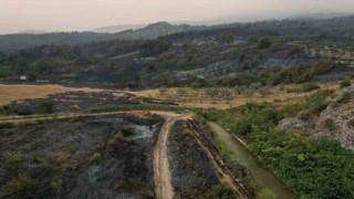 Orman yangını kabusunun ikinci günü: Ekipler çalışmalarına hız verdi