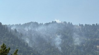 Orman Yangını Kontrol Altına Alındı: 30 Dekar Alan Zarar Gördü