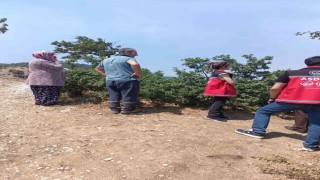 Orman yangını sonrası psikososyal destek hızla verildi